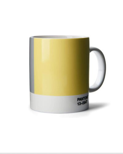 Pantone Colour of the Year 2021 Porcelain Mug & Gift Box - Ultimate Gray & Illuminating