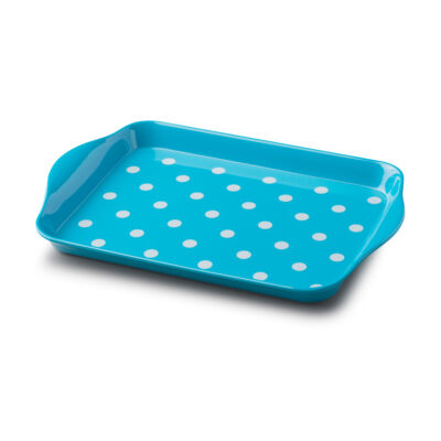 Zeal 18 x 14cm Dotty Tray - Aqua