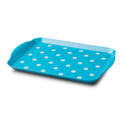 Zeal 30 x 12cm Dotty Tray -  Aqua